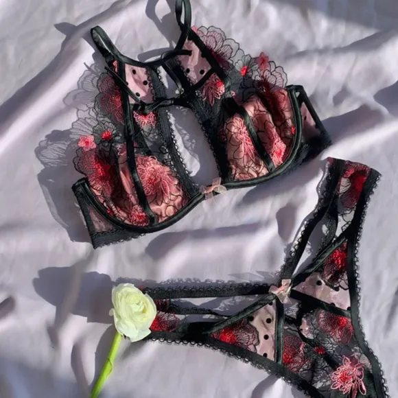 💖 For Love and Lemons Zinnia Embroidered High-Waist Thong Panty 💖