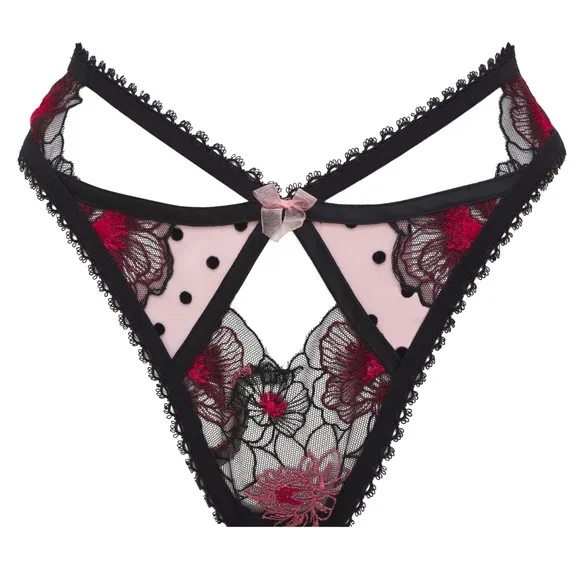 💖 For Love and Lemons Zinnia Embroidered High-Waist Thong Panty 💖