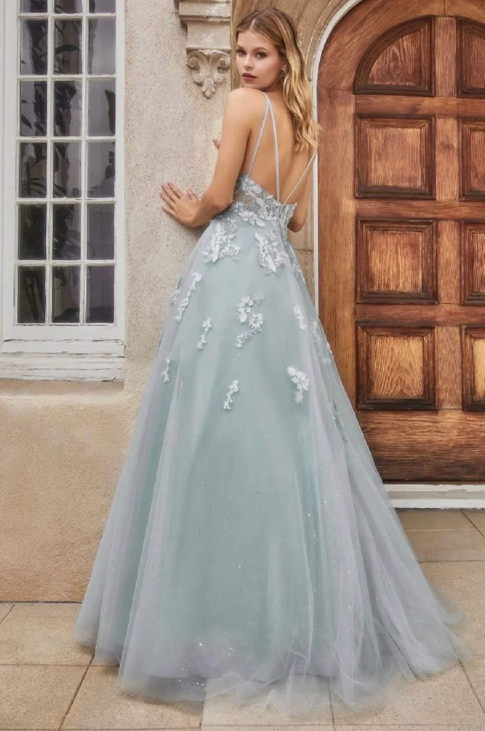 Andrea & Leo Evening Gown A0892