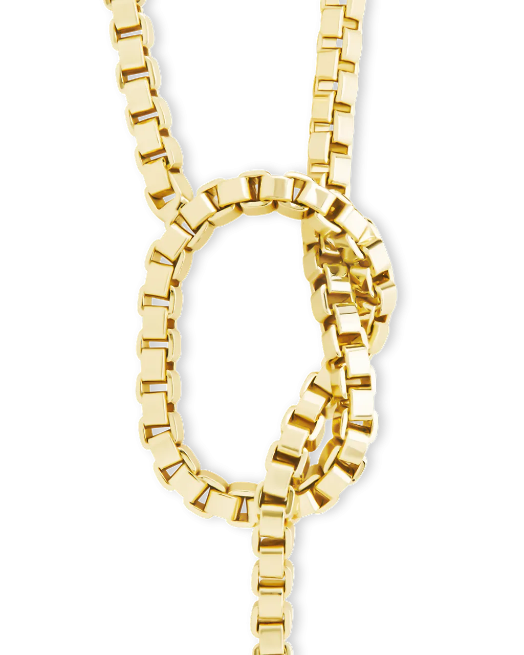 Aster Link Lariat Necklace