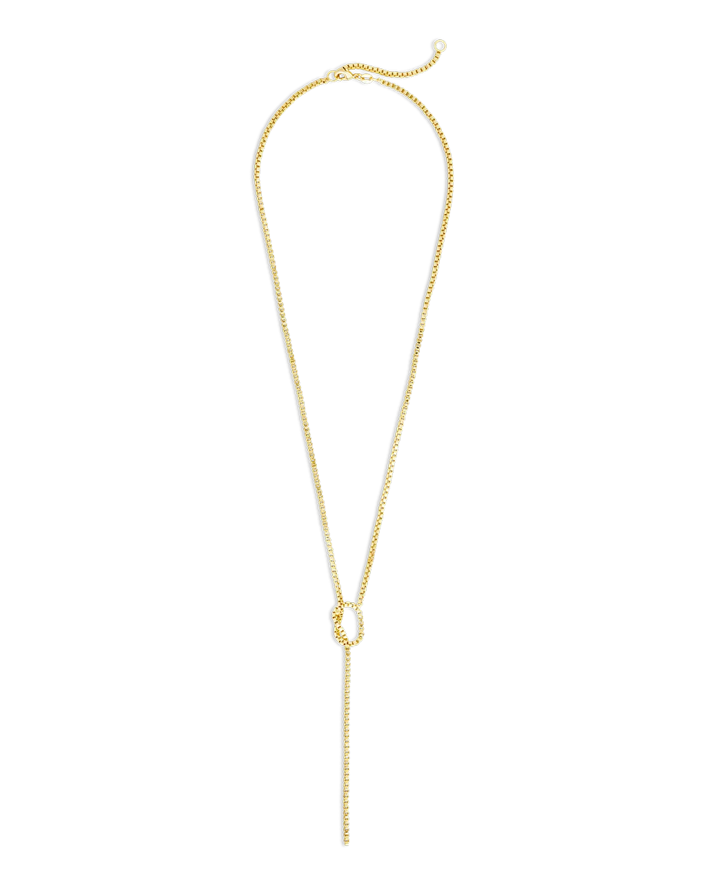 Aster Link Lariat Necklace