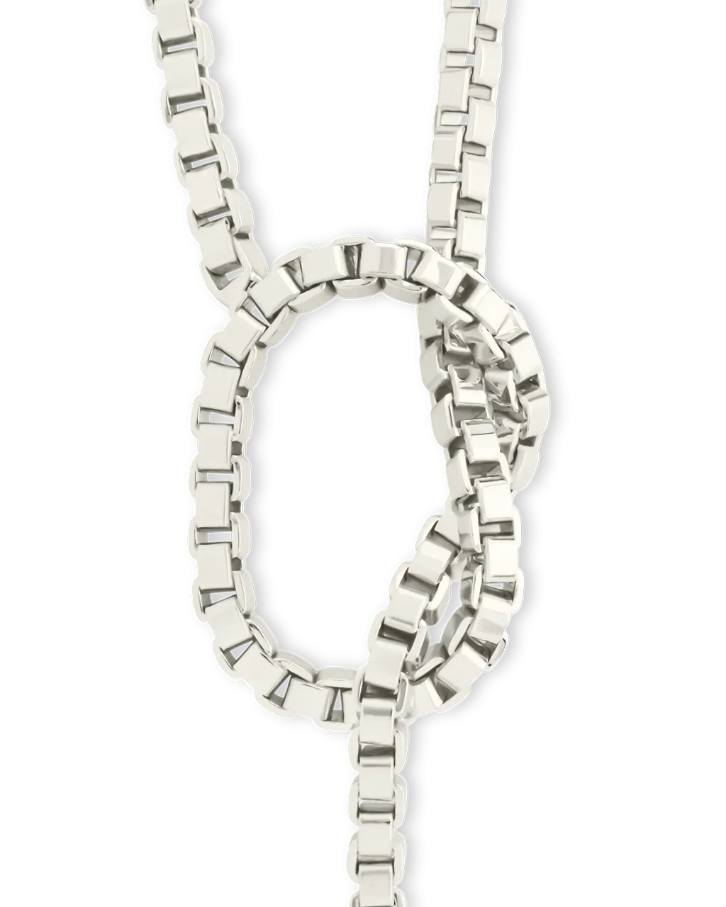 Aster Link Lariat Necklace