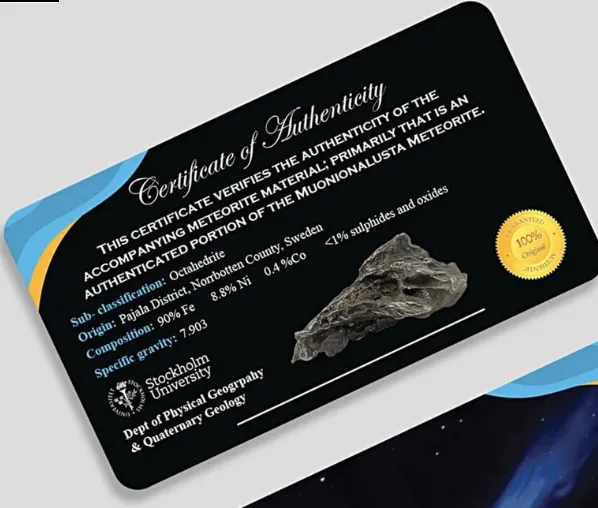 Celestial Unity - 3-Piece Gold & Meteorite Couple Ring Set – Gold over Sterling Silver Engagement Ring with Natural Meteorite Wedding Bands for Him and Her