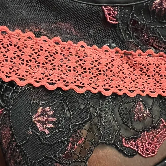 For Love and Lemons Ivy Bustier embroidered roses