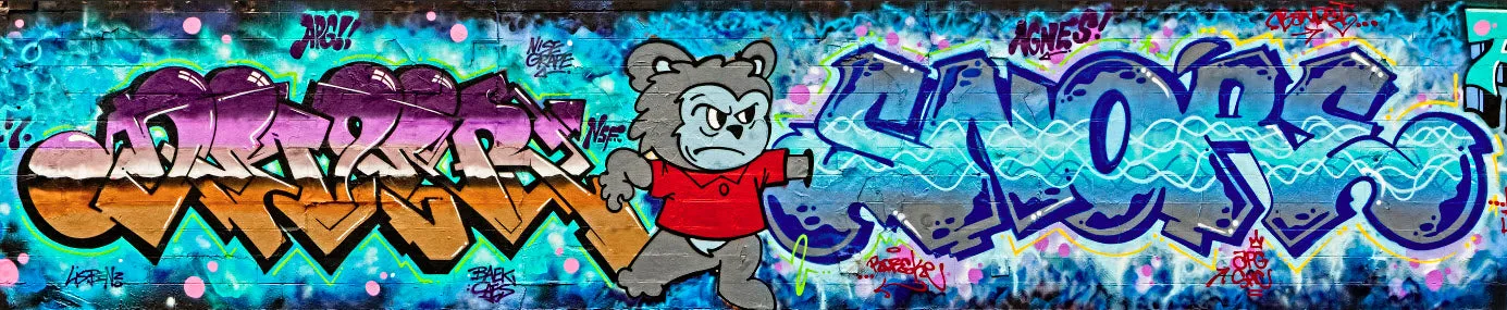 Graffiti 2017 Wall No. 7 Ver. 1 - Michael Spewak