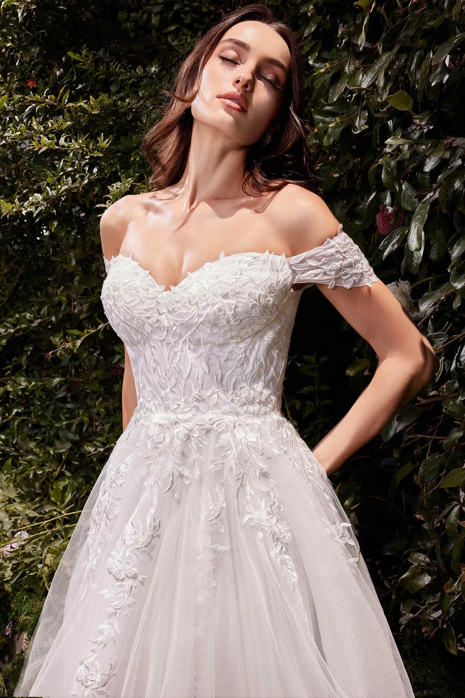 Ladivine C159W Off The Shoulder A-Line Lace & Tulle Wedding Dress