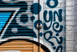 Locked Door – North Philadelphia, 2013 - Sylvie Rose & Michael Spewak