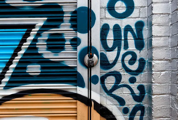 Locked Door – North Philadelphia, 2013 - Sylvie Rose & Michael Spewak