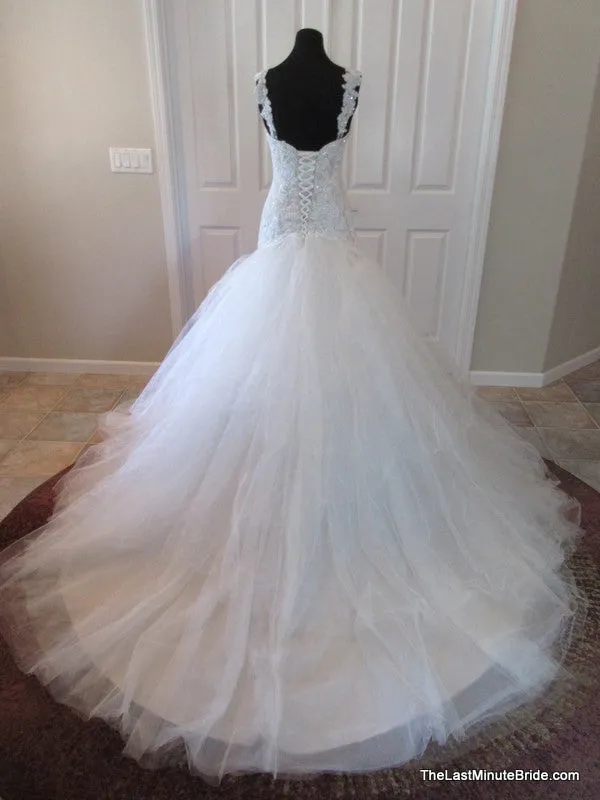 Sophia Tolli Y11560 Ibis