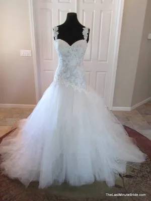 Sophia Tolli Y11560 Ibis