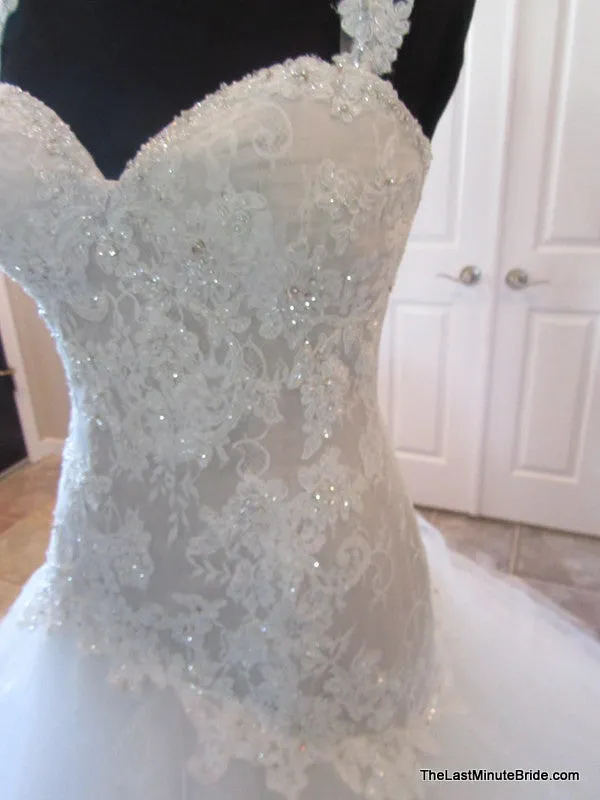 Sophia Tolli Y11560 Ibis