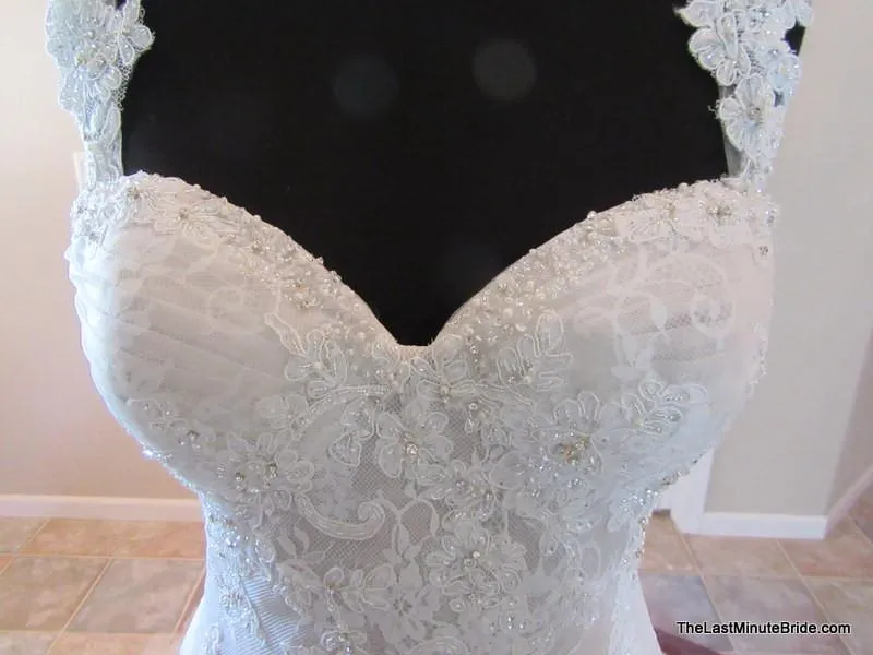 Sophia Tolli Y11560 Ibis