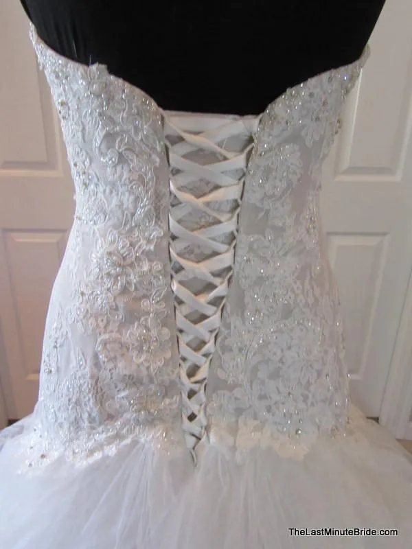 Sophia Tolli Y11560 Ibis