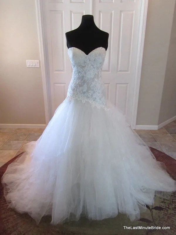 Sophia Tolli Y11560 Ibis