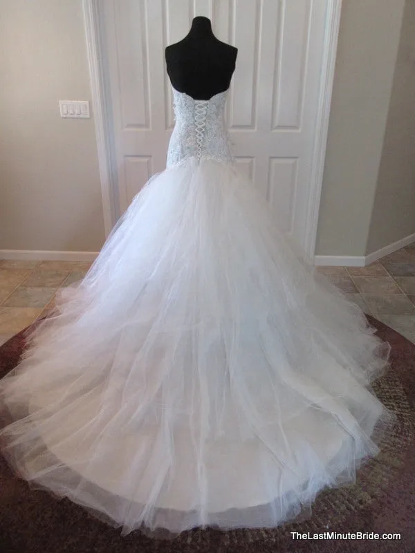 Sophia Tolli Y11560 Ibis