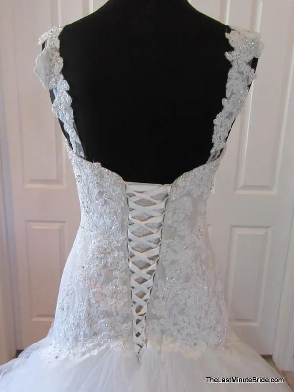 Sophia Tolli Y11560 Ibis