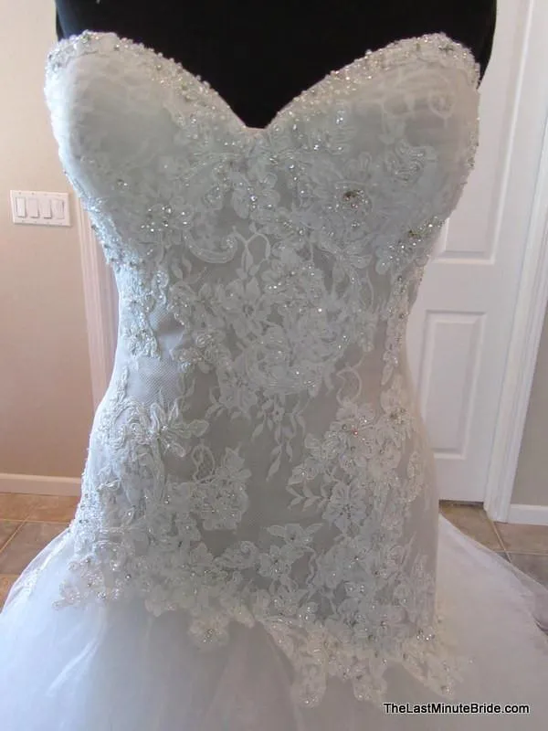 Sophia Tolli Y11560 Ibis