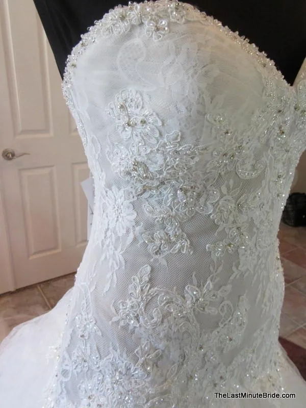 Sophia Tolli Y11560 Ibis