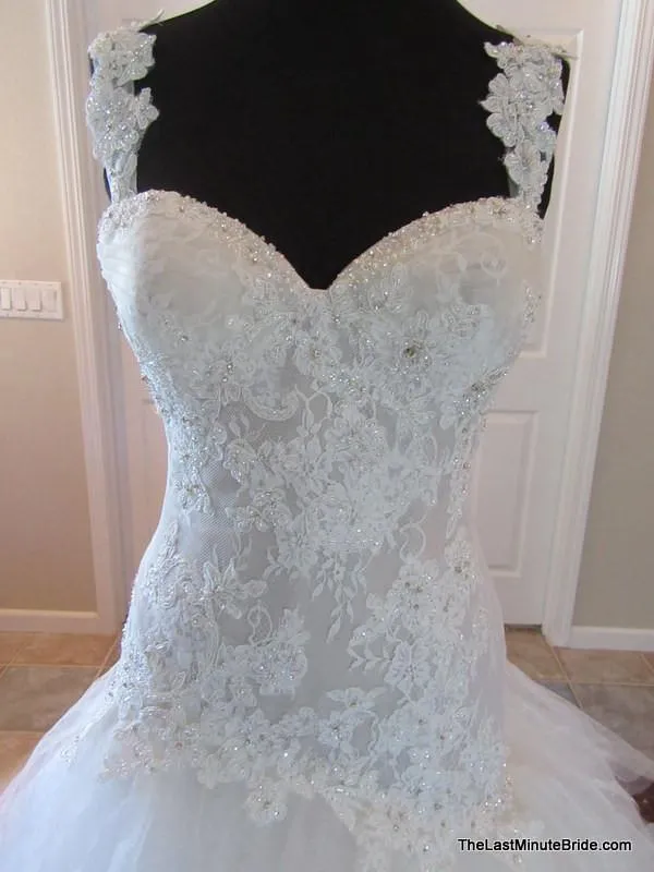 Sophia Tolli Y11560 Ibis