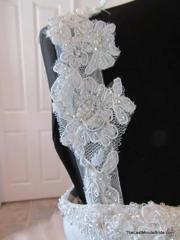 Sophia Tolli Y11560 Ibis