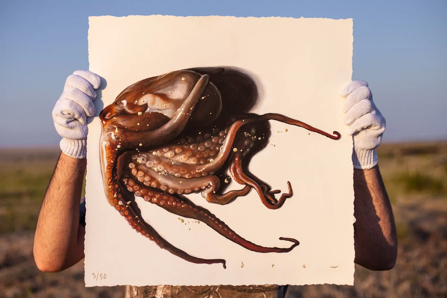 The Octopus