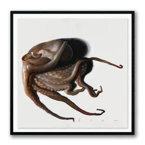 The Octopus