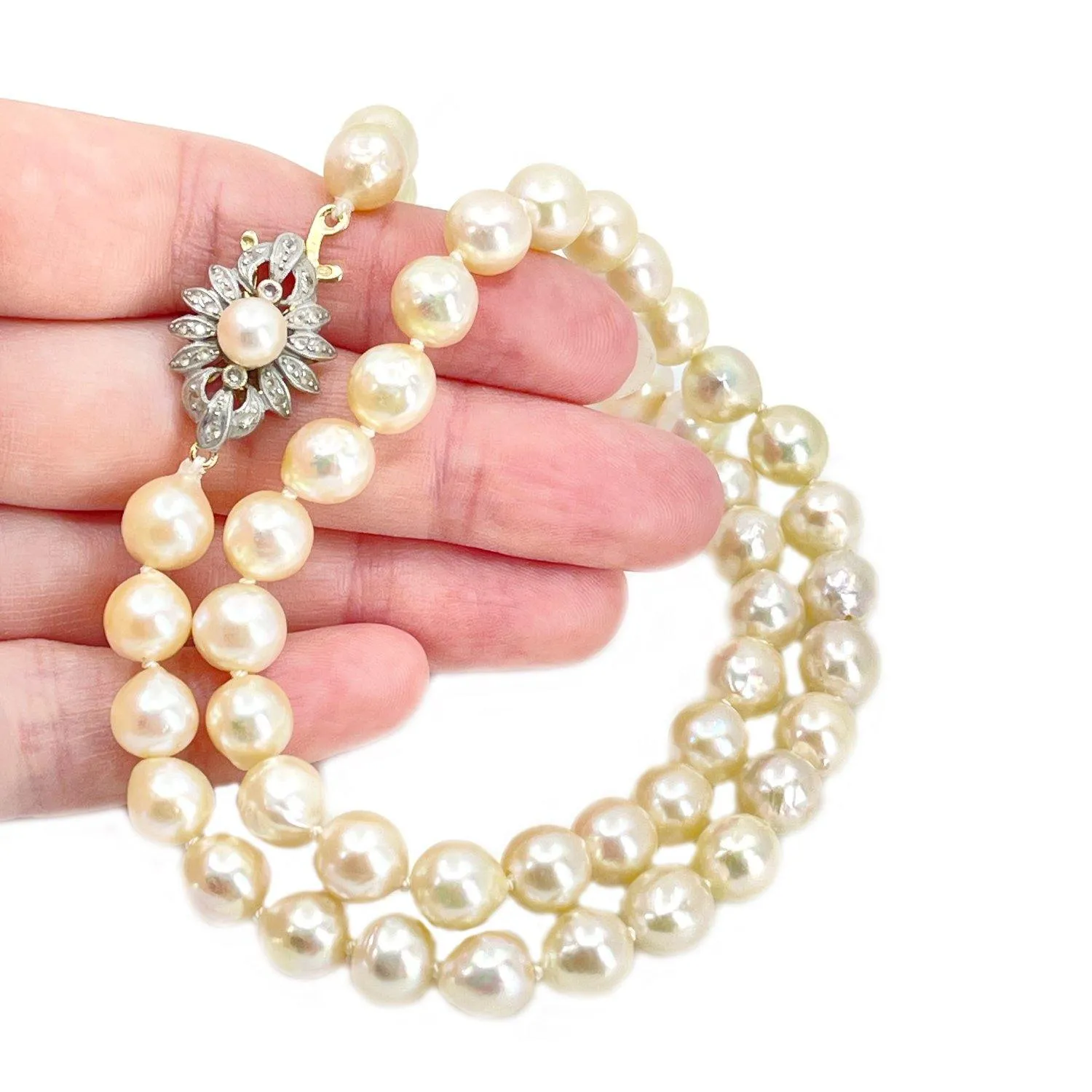 Victorian Star Burst Japanese Saltwater Cultured Akoya Pearl Strand - 14K Yellow Gold Silver 18.50 Inch