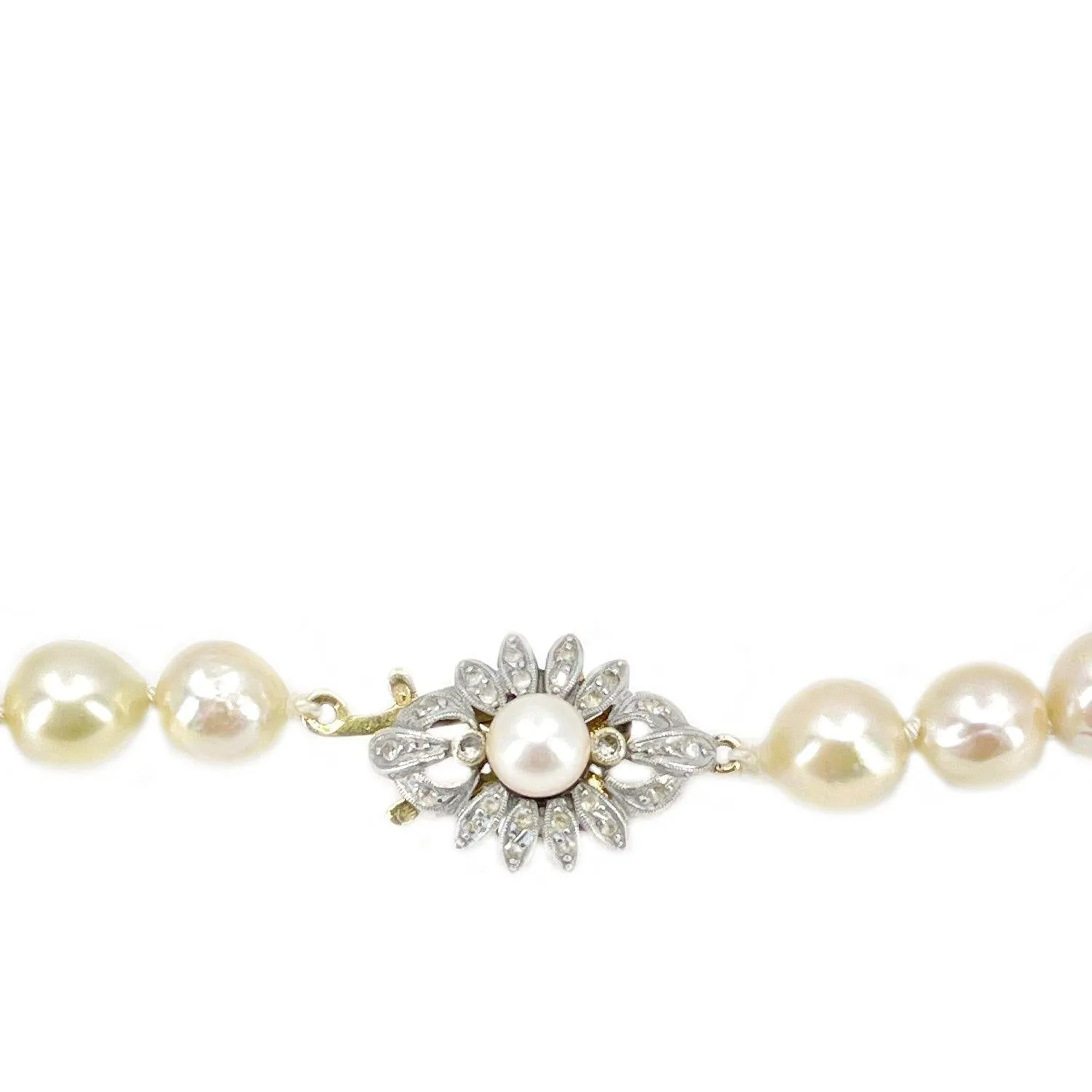 Victorian Star Burst Japanese Saltwater Cultured Akoya Pearl Strand - 14K Yellow Gold Silver 18.50 Inch